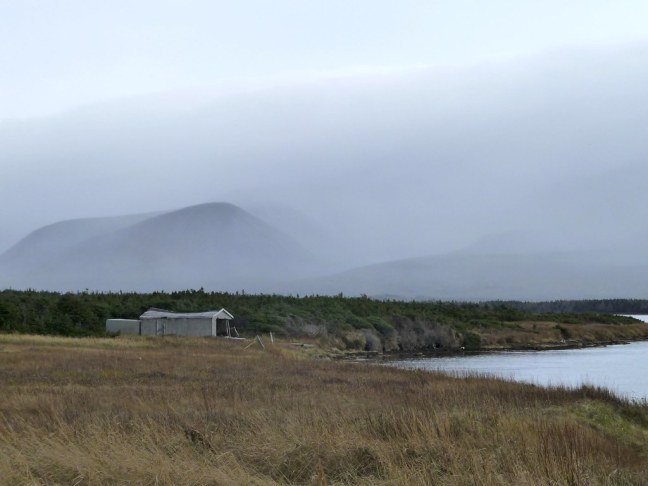 Doyles, Newfoundland