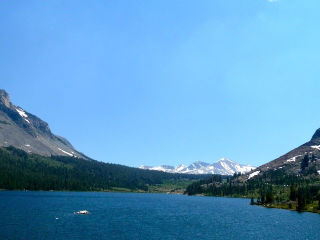 Along Tioga Pass
