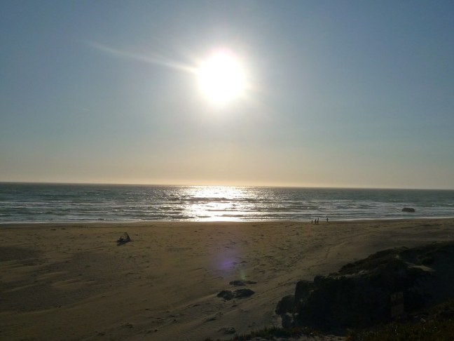 Sonoma Coast