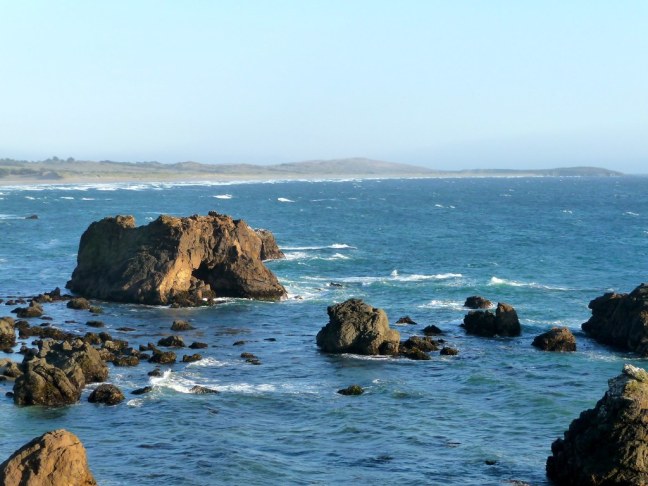 Sonoma Coast