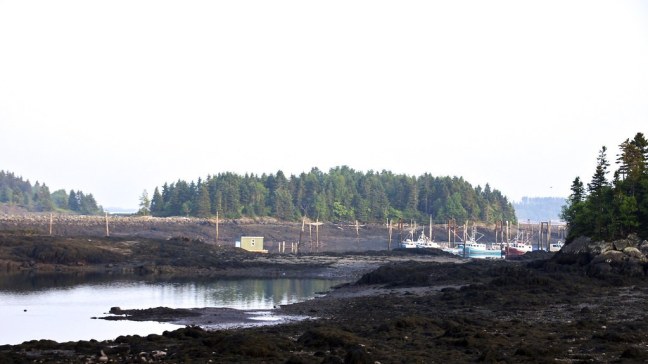 Low tide in the Bay of Fundy
