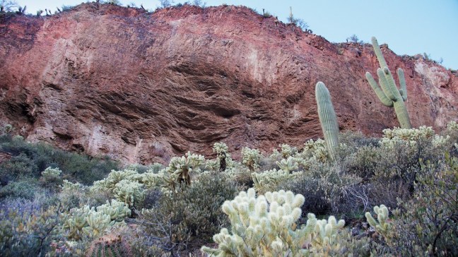 Tonto National Monument