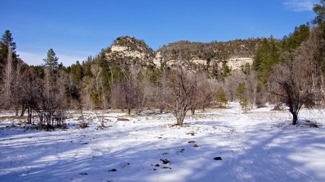 Uhhhh, snow on the way to Flagstaff
