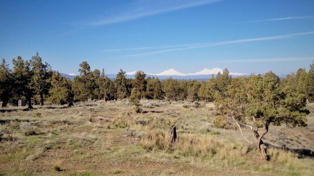 High desert scenery