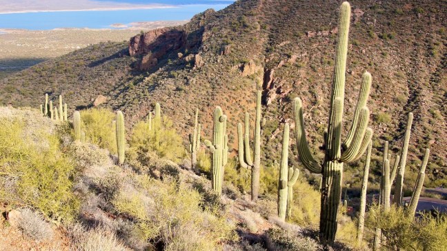Tonto National Monument