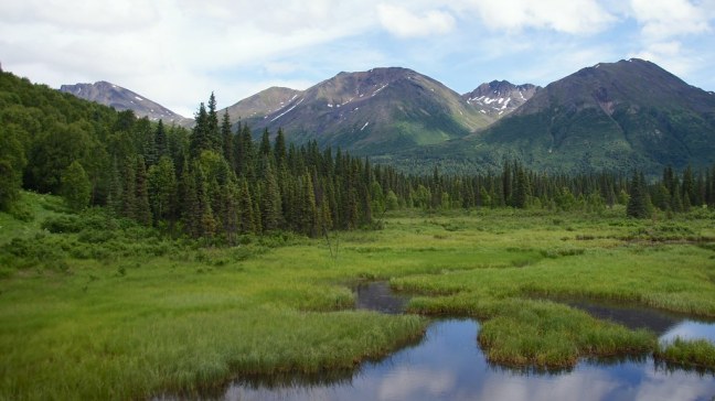 Scenery from Hurricane Turn