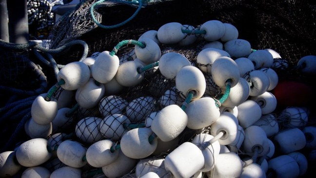 Fishing nets