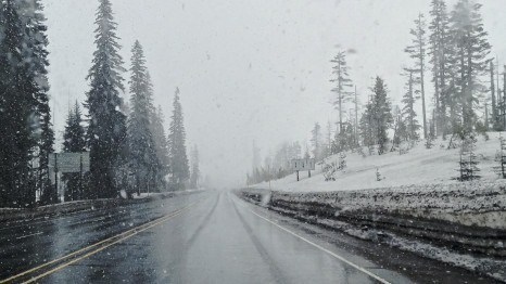 Snow on Santiam Pass