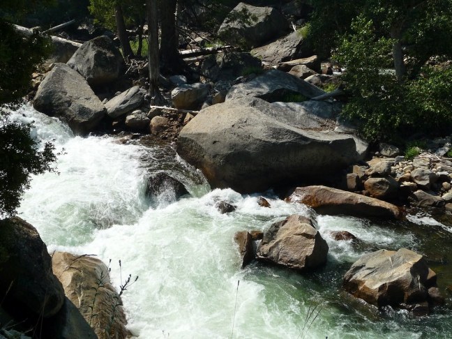 A "creek" in Yosemite