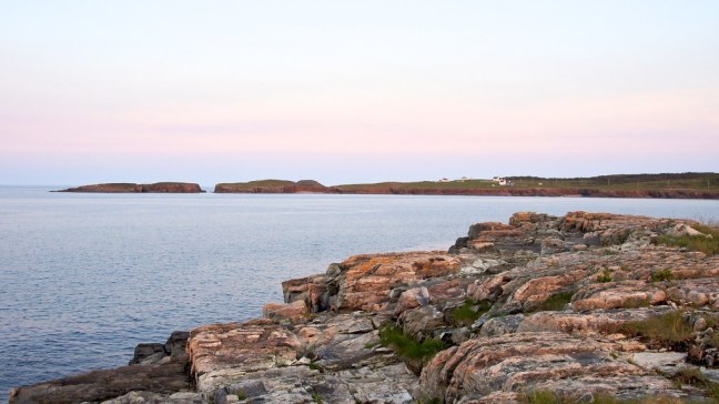 The puffin viewing site in Elliston is across the bay