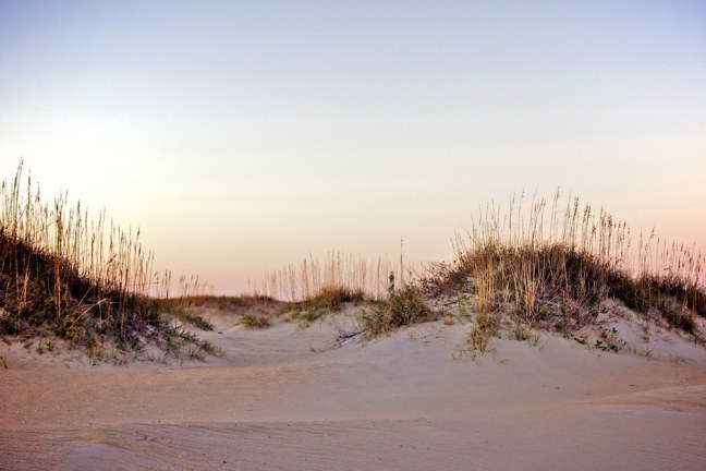 Dunes of OBX