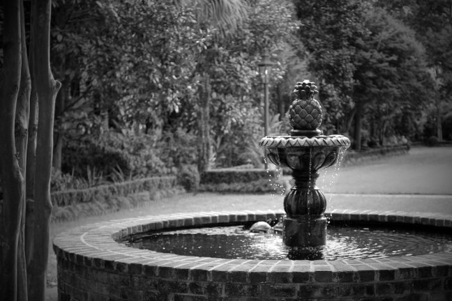 Charleston Architecture