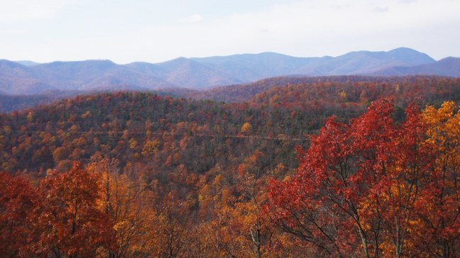 Fall foliage on the Blue Ridge Parkway