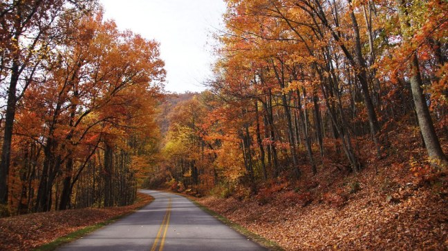 Fall foliage on the Blue Ridge Parkway