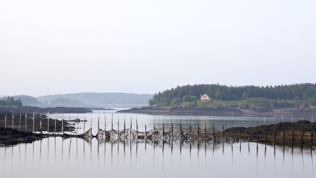 Fish farms at low tide in the Bay of Fundy