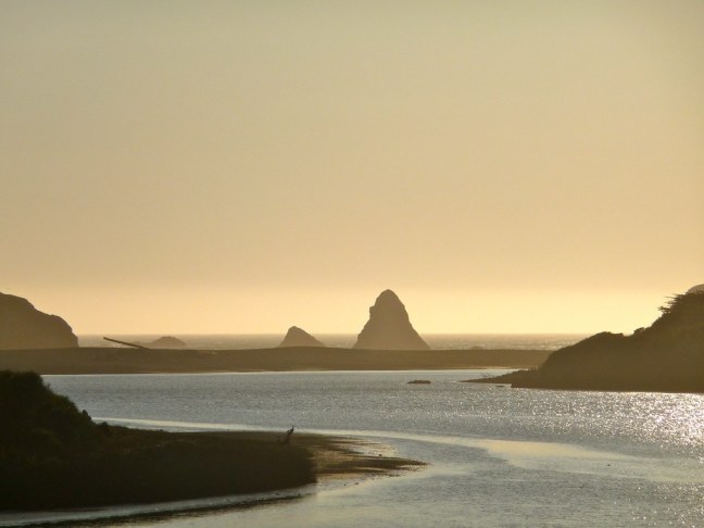 Sonoma Coast