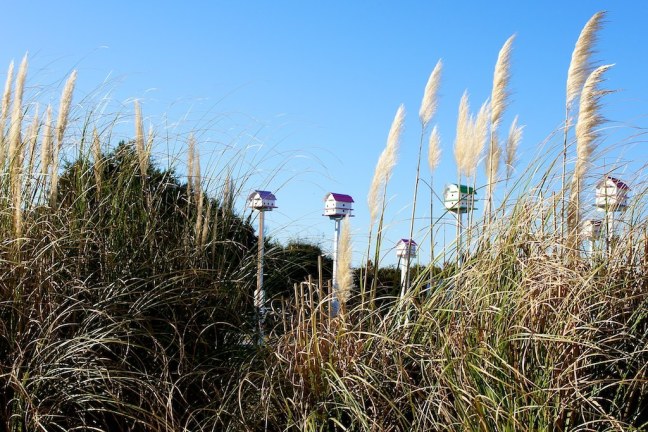 Sands of Time Campground
