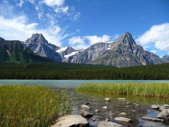 Waterfowl Lakes