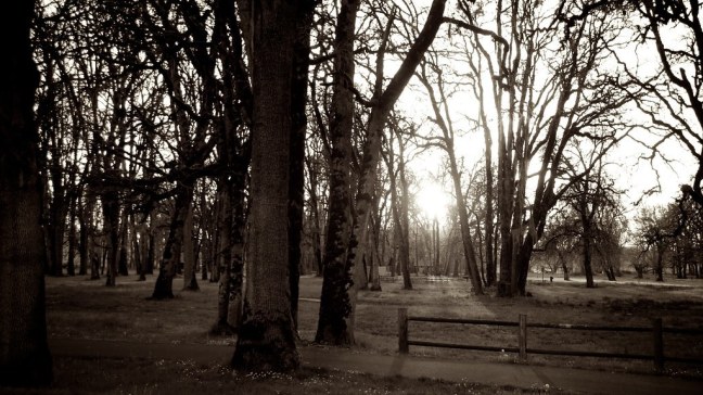 Champoeg State Park
