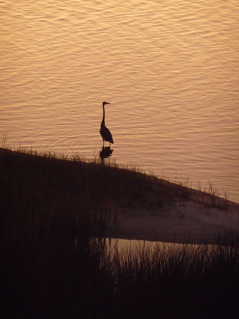 Big Lagoon State Park in Perdido Key, Florida