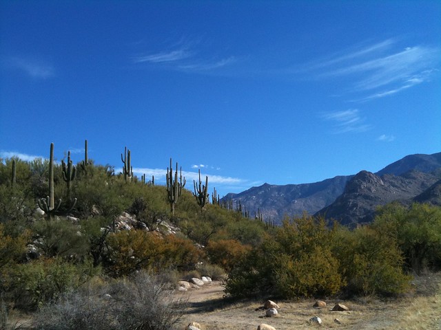 Catalina State Park