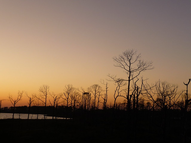 Big Lagoon State Park in Perdido Key, Florida