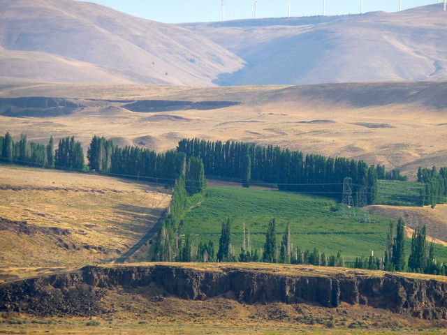 Typical scenery on interstate highway along Columbia River