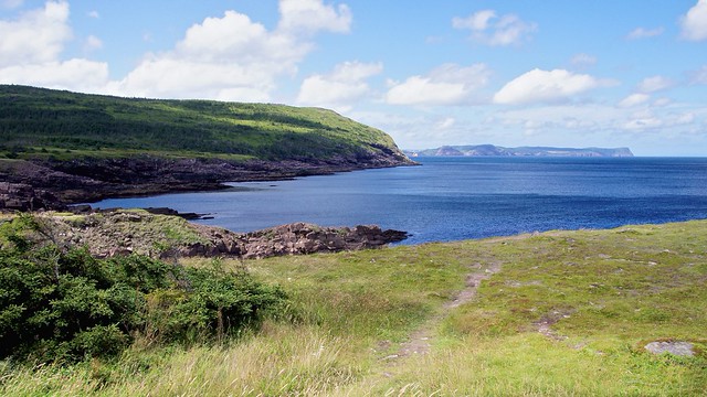 View from Cape Spear