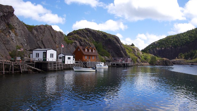 Quidi Vidi