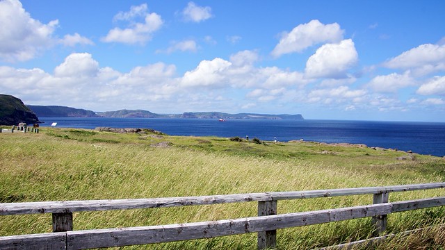 View from Cape Spear