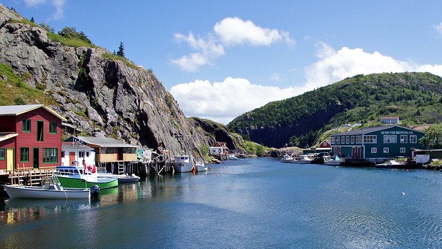 Quidi Vidi