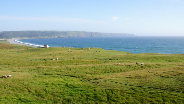 The Irish Loop